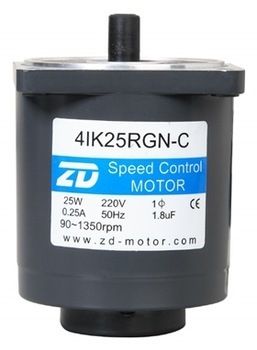 ZD MOTOR 4IK25RGN-C