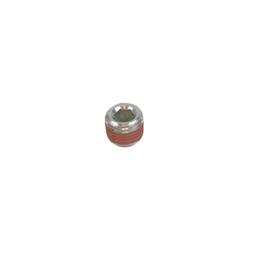 NPT Plug