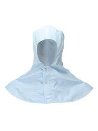 Cleanroom Hood