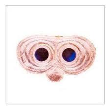 aluminized heat resistance goggles