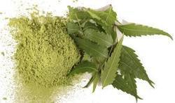 Punarnava Powder