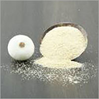 White Onion Powder
