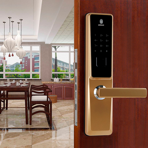 D1 type fingerprint lock