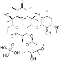 Erythromycin Phosphate - Pharmaceutical Grade, High Purity | Versatile Antibiotic Treatment Solutions