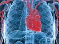 हृदय संबंधी दवाएं