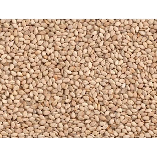 Natural Sesame Seed
