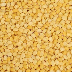Yellow Moong Dal