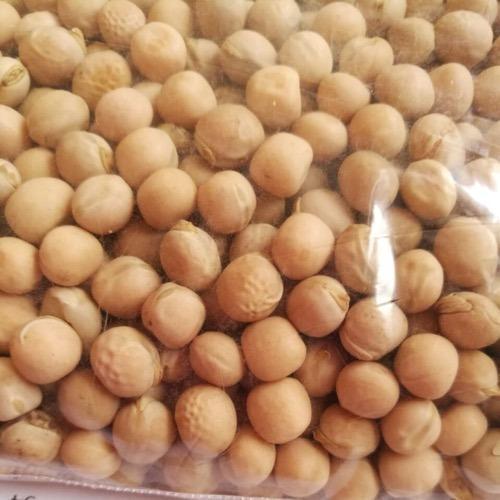 Yellow Pea