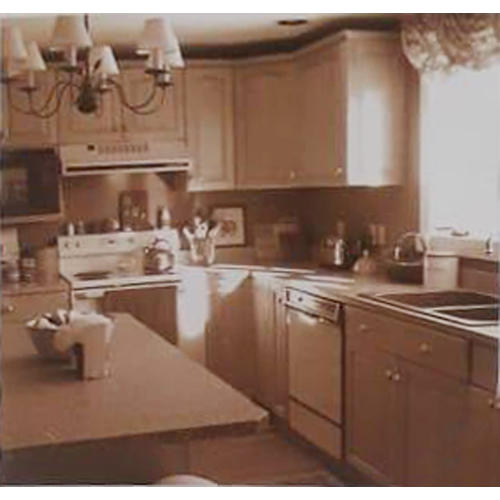 BWR Grade Plywood BWR Grade Plywood