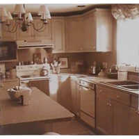 BWR Grade Plywood