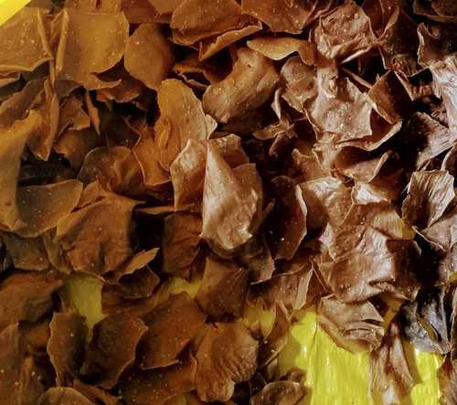 Crispy Jowar Papad
