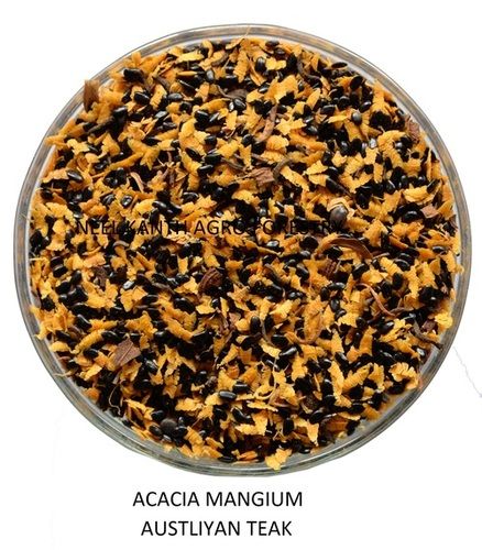 Acacia Mangium Austliyan teak