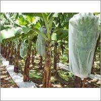 Non Woven Fabrics For Agriculture - Color: White
