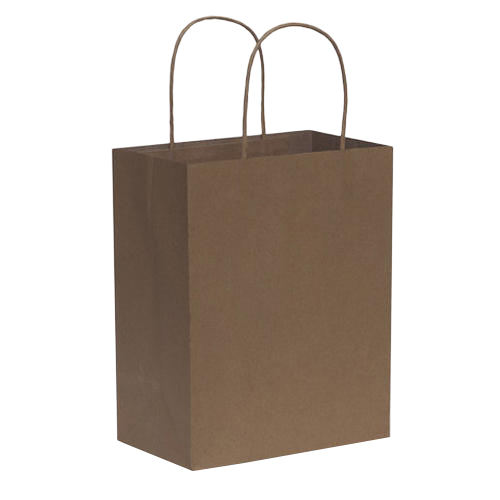 Plain Paper Carry Bag Plain Paper Carry Bag