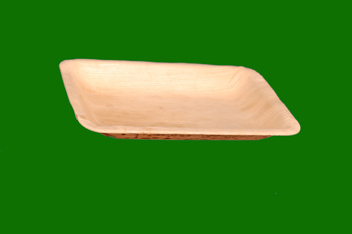 Areca Rectangle Plate 10 x 7