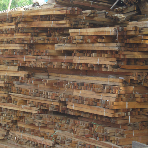 Eucalyptus WOOD Eucalyptus WOOD