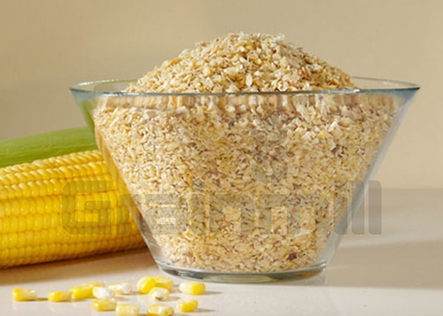 Corn Germs Corn Germs