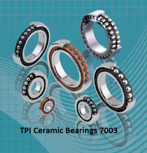 TPI Ceramic Bearings 7003