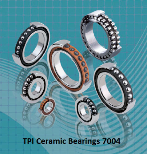 TPI Ceramic Bearings 7004