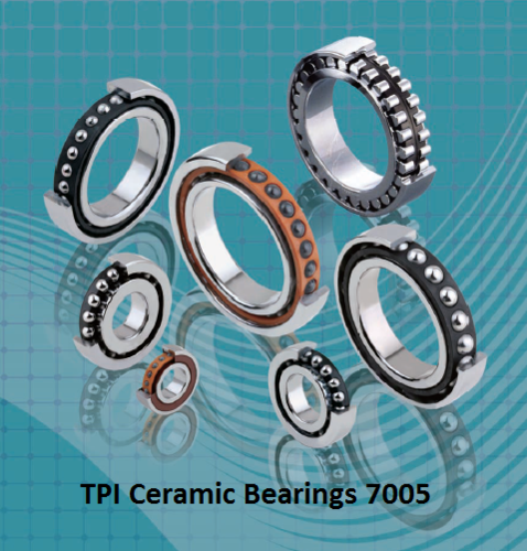 TPI Ceramic Bearings 7005
