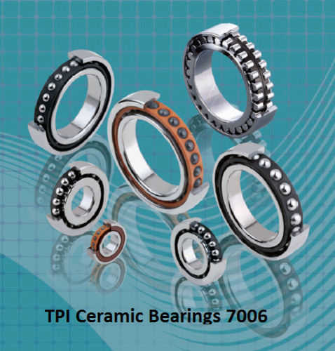 TPI Ceramic Bearings 7006