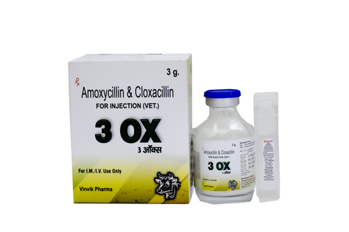 AMOXYCILLIN + CLOXACILLIN 3GM