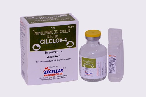 AMPICILLIN DICLOXACILLIN-4GM