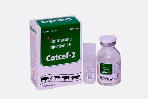 Ceftriaxone Injection 2gm