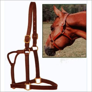 All Type Stable Leather Halter