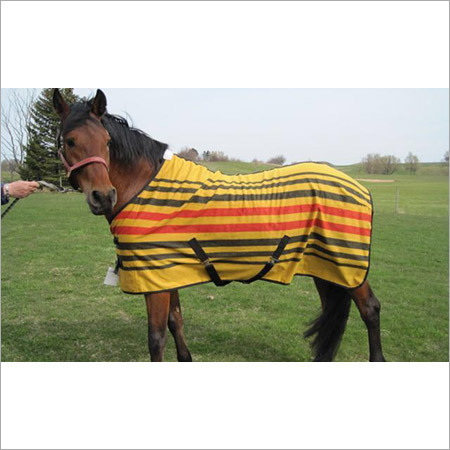 All Type Canvas Horse Rug