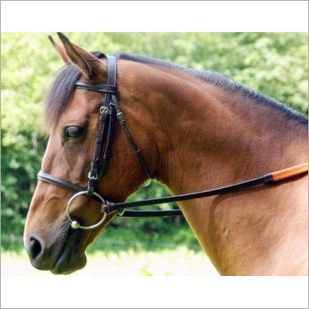 Leather Horse Bridles