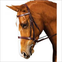 Leather bridles