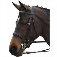 Riding Leather Bridle