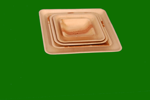 Areca Square Plate All Sizes