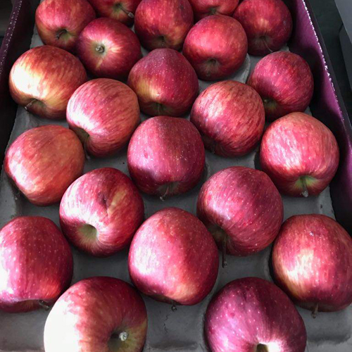 Farm Fresh Apples