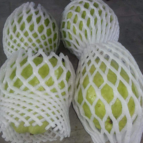 Tropical Guava Fruit