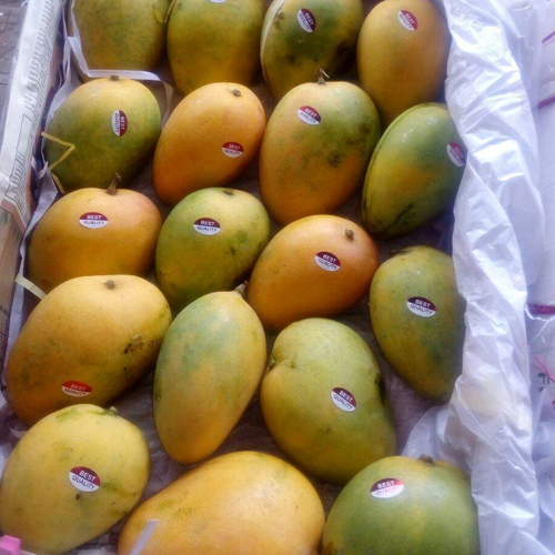 Farm Fresh Mango