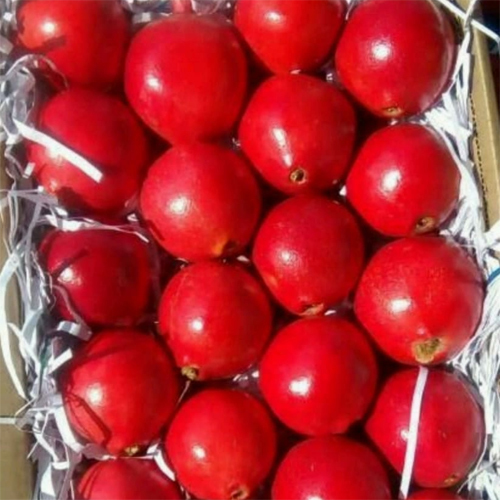 Fresh Fruit Pomegranate