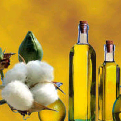 Global Cotton Seed Oil Market 2018 2025 Research Prices Trends And Insights Insight Marketing Online Journal