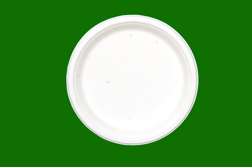 Sugarcane Bagasse Round Plate 10inch
