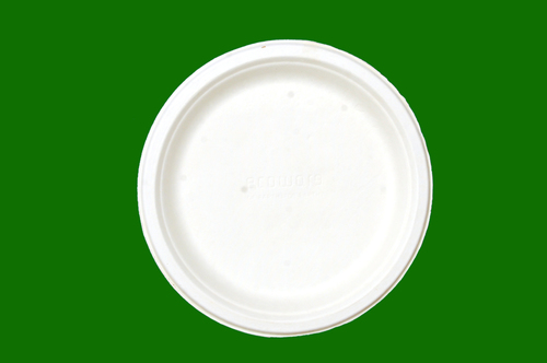 Sugarcane Bagasse Round Plate 10inch