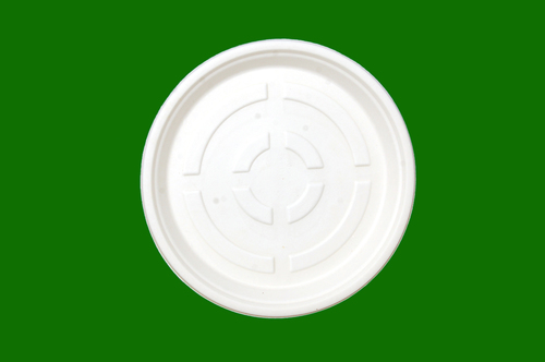 Sugarcane Bagasse Round Plate 11inch