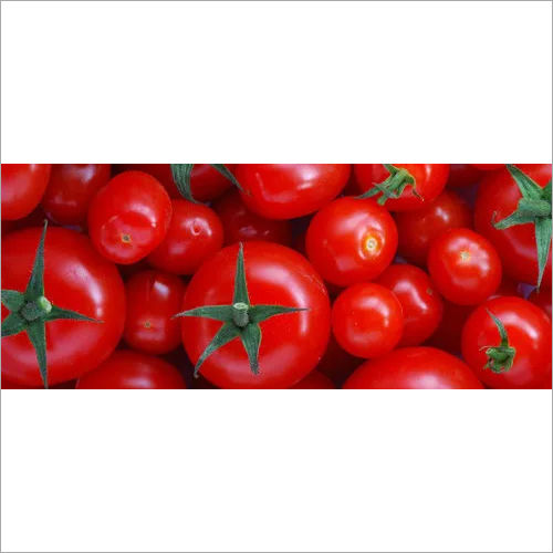 antioxidant lycopene