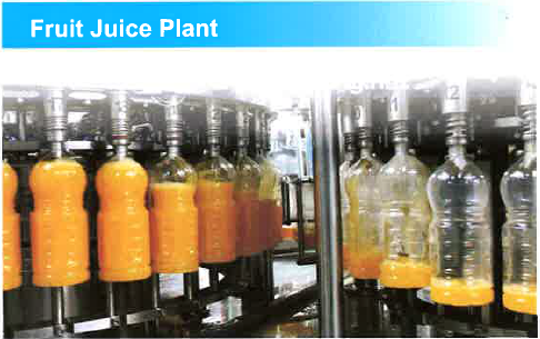 Fruit Juice Plant Fruit Juice Plant