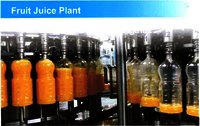 Fruit Juice Plant Extrusion Blow Moulding