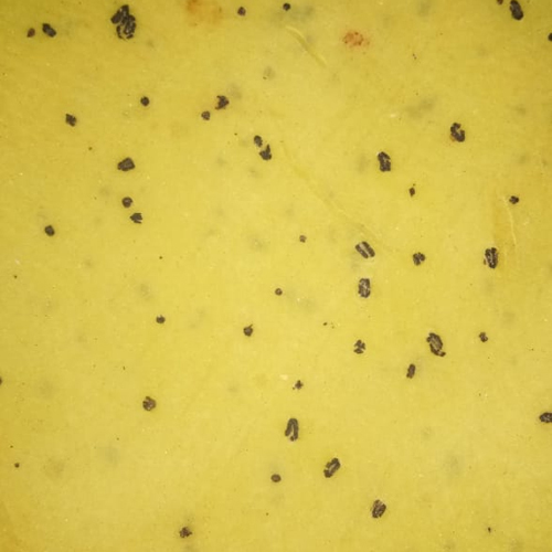 Dal Papad