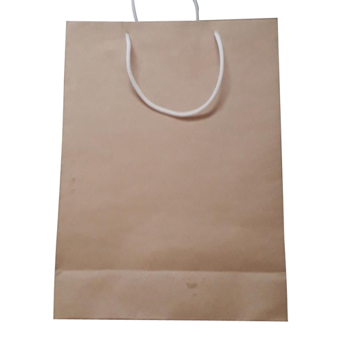 Paper carry Bag