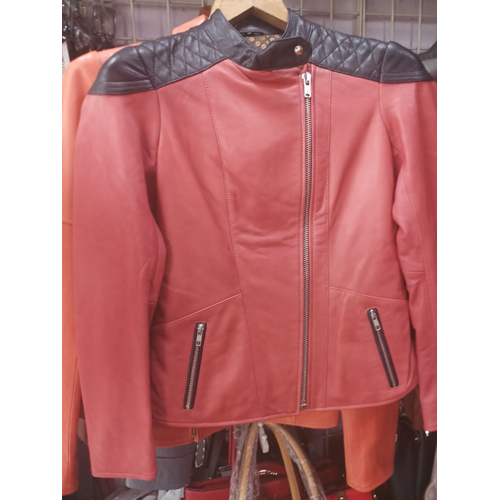 Ladies Designer Jacket