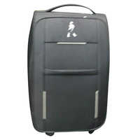 Stylish Trolley Bag
