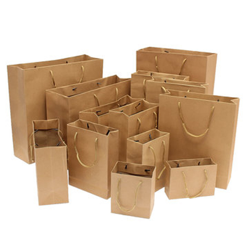 Paper Handle Bags